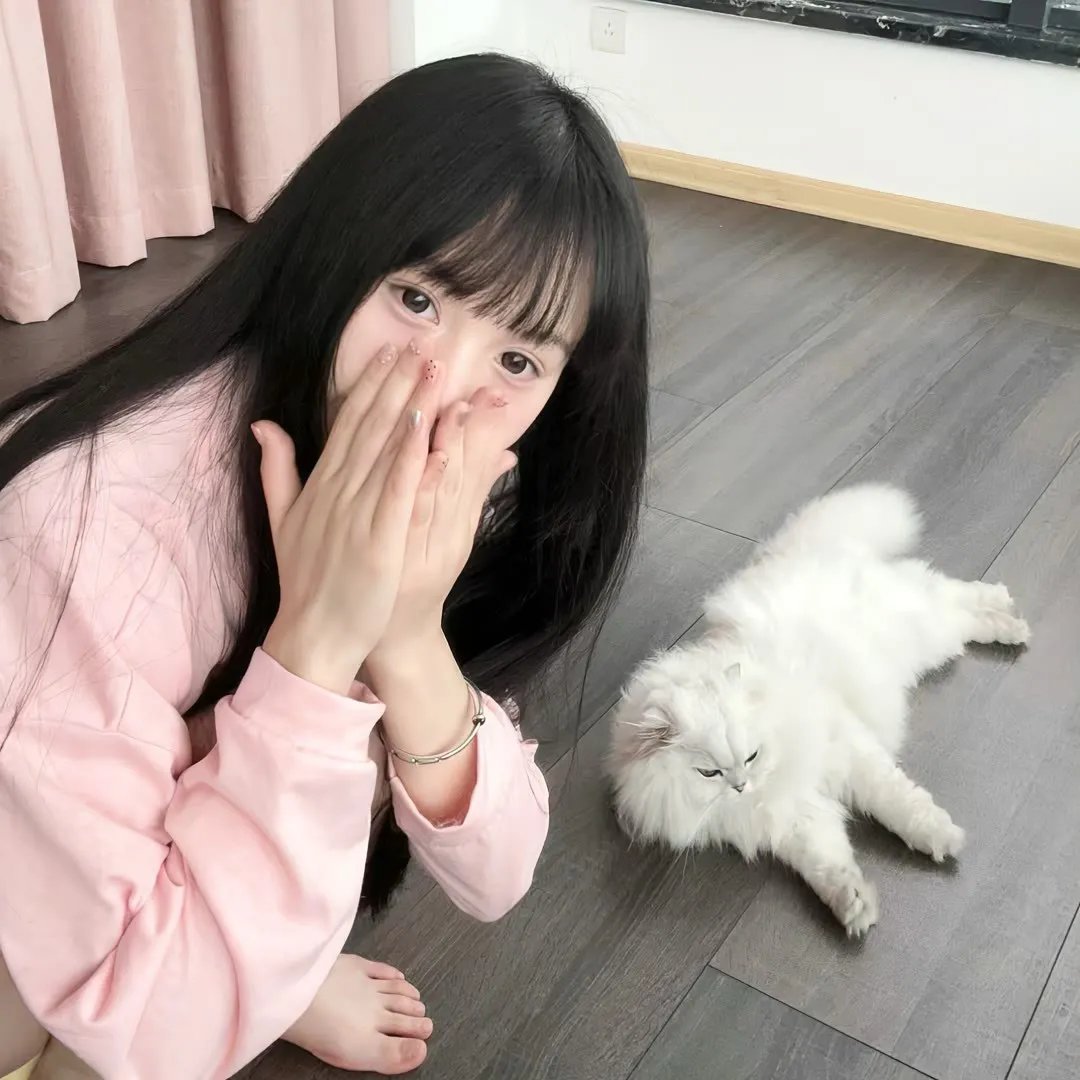 生活大爆炸第六季